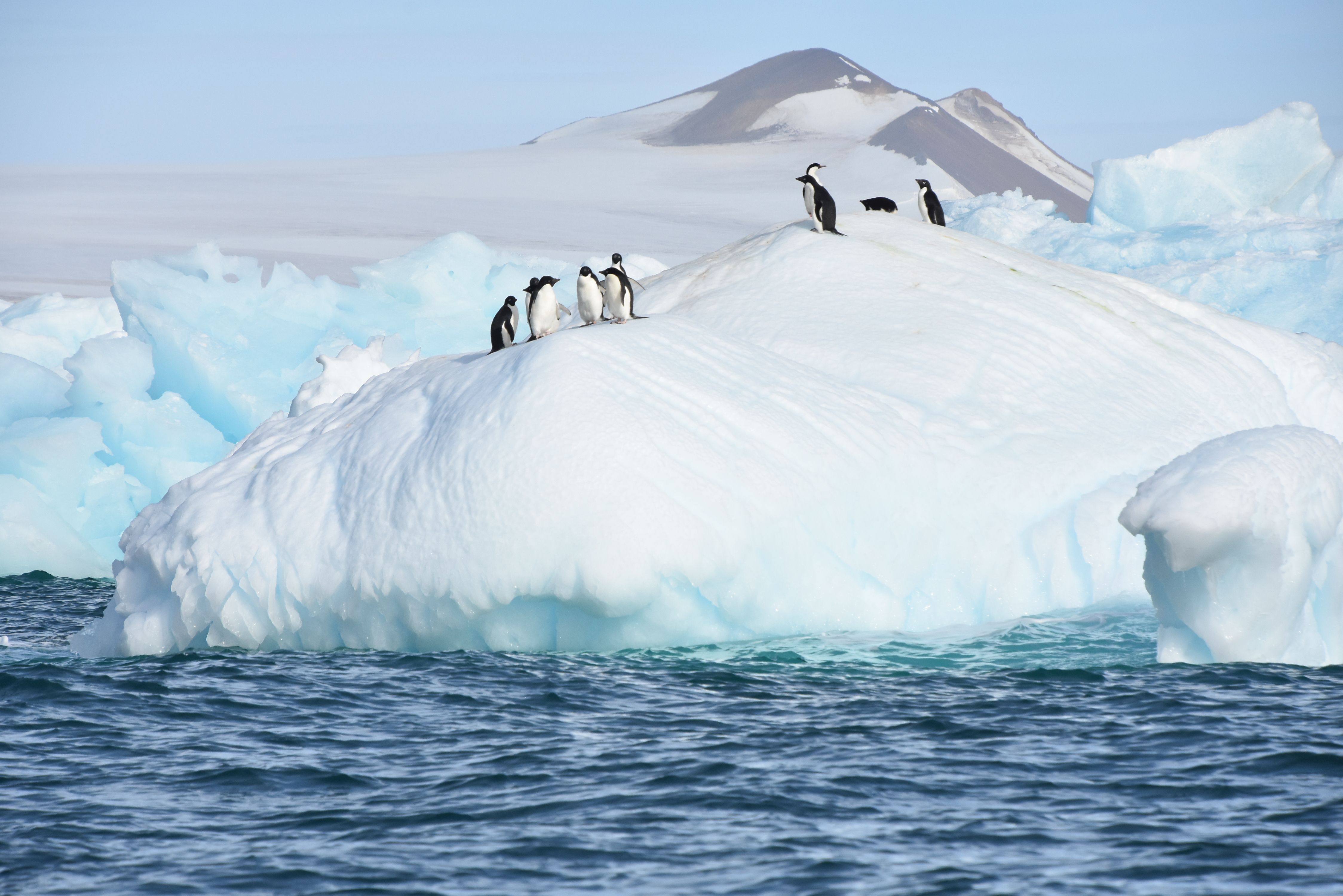 The Weddell Sea 1 11 2023 National Geographic Explorer Lindblad   Ex011123a 