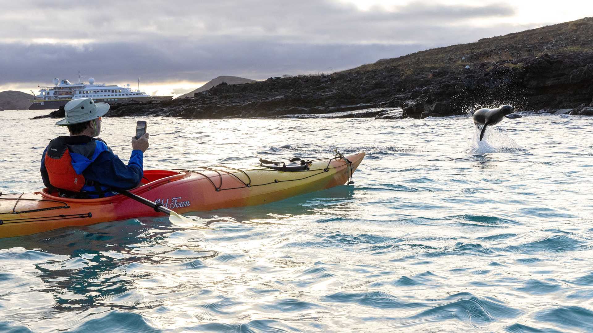 kayaker and sea lion