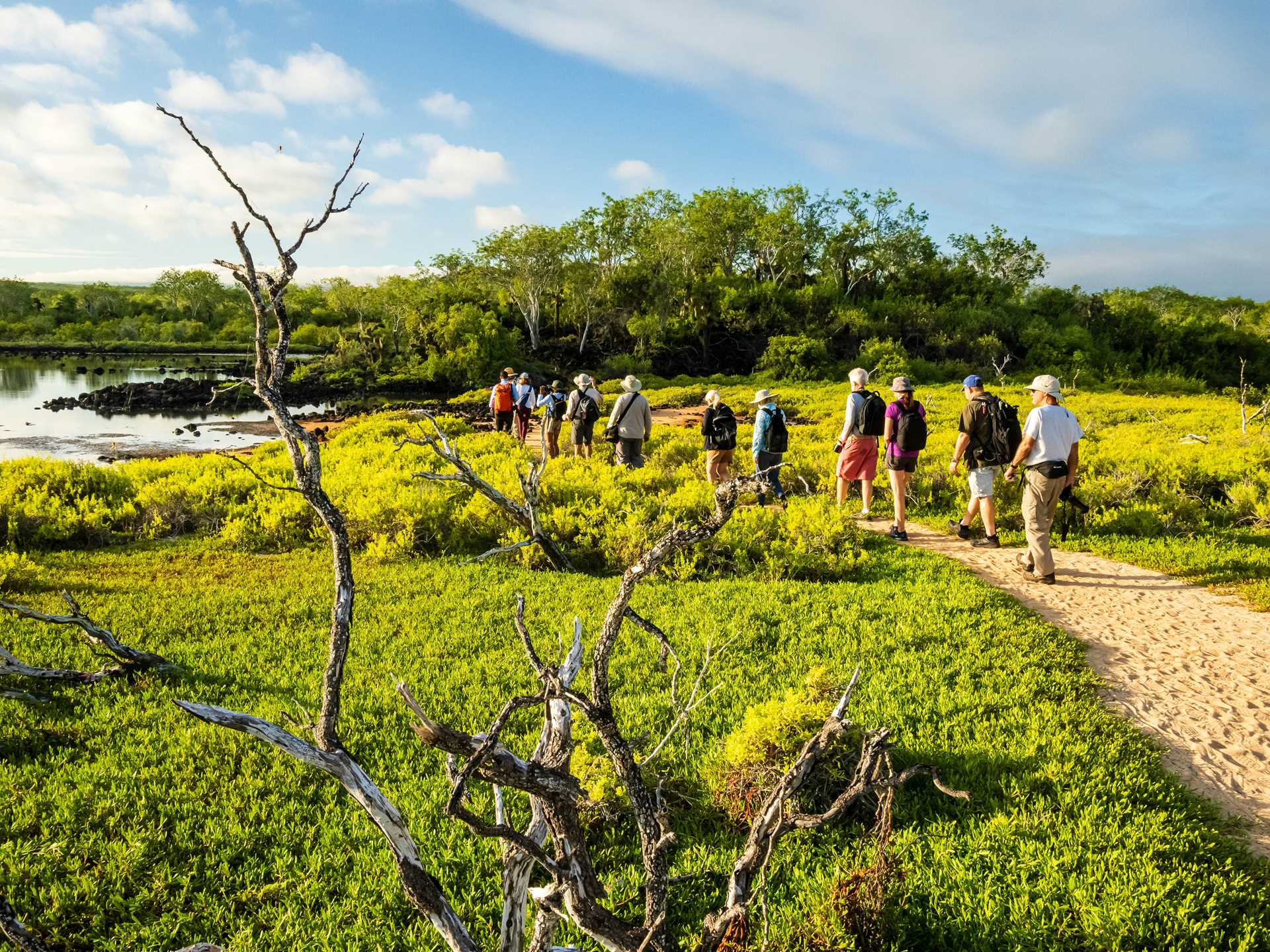 Guests hike the green wetland trails in Cerro Dragon on Santa Cruz Island, Galápagos.