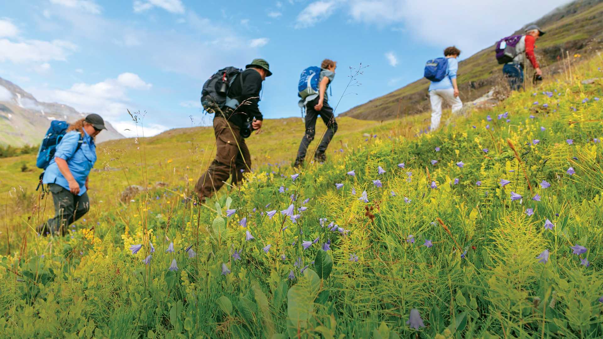 Hikers on a hill in Iceland