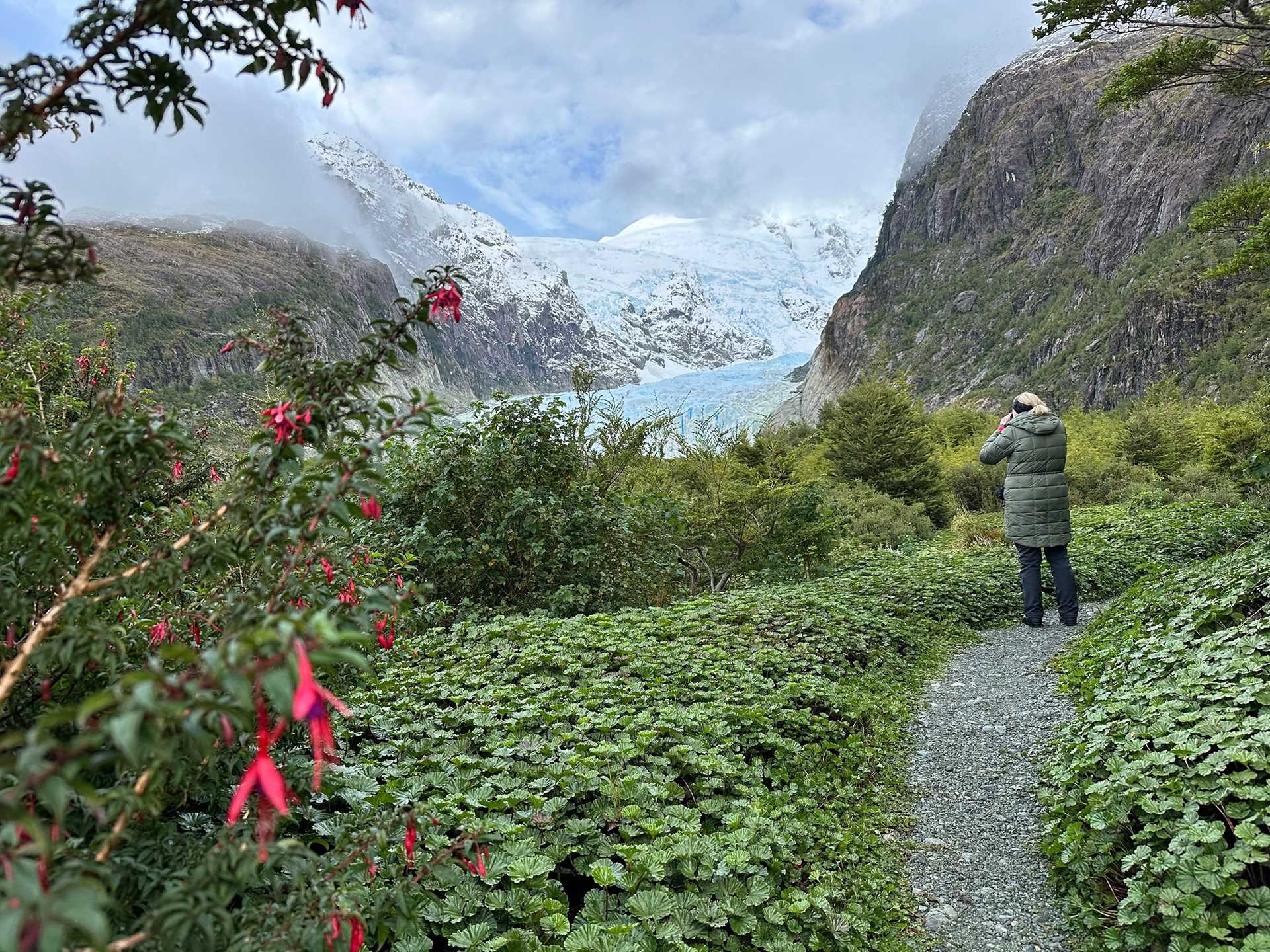 a hiker explores a green hill in patagonia